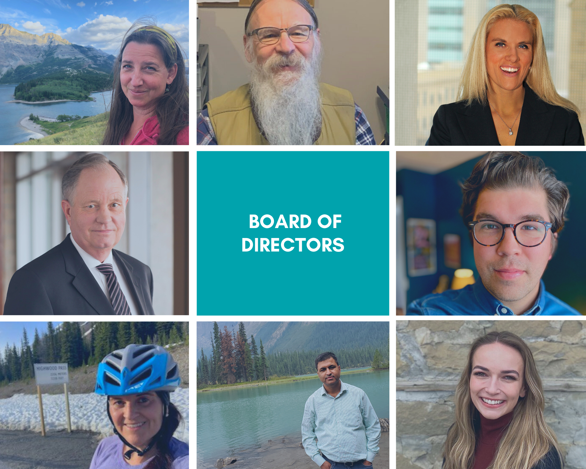 SABIS Board of directors